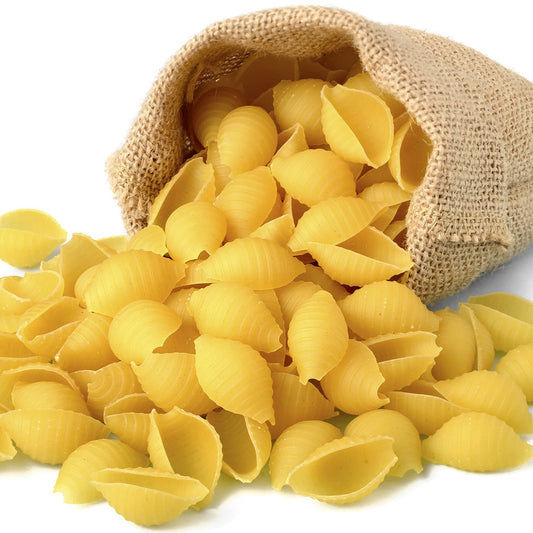 Li'l Shells